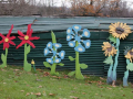 blumen