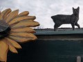 katze
