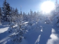 Ski_Neuhausen_0013 (Large)