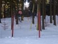 Ski_Neuhausen_0069 (Large)