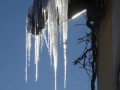 Ski_Neuhausen_0089A1